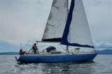  - Scampi 30