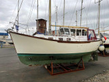 Colvic Craft - Colvic Watson 28