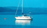 Thumbnail - Westerly Oceanquest