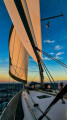 Bavaria - Bavaria 46 Cruiser