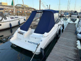 Regal Boats - REGAL REGAL 2950 LSC