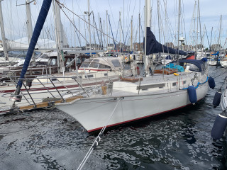 Thumbnail - Shearwater 39