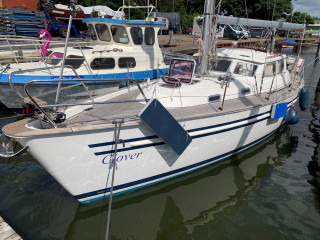 Thumbnail - Degeroe 31 DS