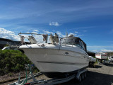 Monterey - Monterey 270 Cruiser