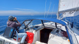 Dufour Yachts - Dufour 38 Classic