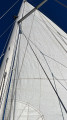 Jeanneau - Jeanneau Sun Odyssey 37