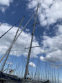 Sunbeam - Sunbeam 37