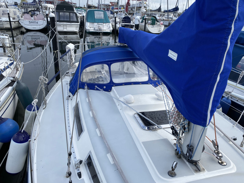Gladiateur 33