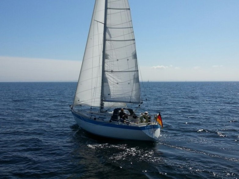 Gladiateur 33