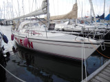 Dehler Yachtbau - Dehler 36 CWS