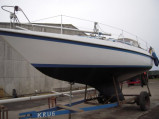 Neptun - Neptun 31