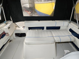 Sea Ray - Sea Ray 250 Express Cruiser