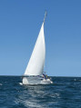 Bavaria - Bavaria 31