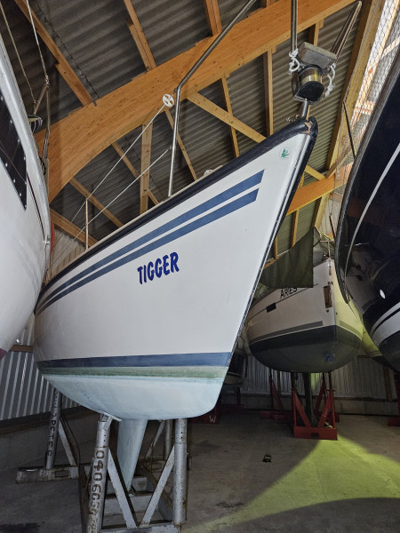 Nordship - Nordship 808 Nordship - Nordship 808