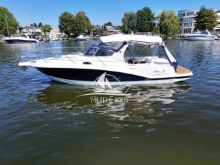 Thumbnail - Faeton Scape 29