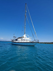 Thumbnail - van de stadt Ballhausen Geba 39