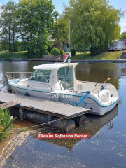 Thumbnail - Ocqueteau 645