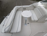 Sea Ray - Sea Ray 240 DA Sundancer