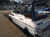Sea Ray - Sea Ray 250 DA