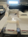 Sea Ray - Sea Ray 19 SPXE