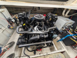 Bayliner - Bayliner 245 