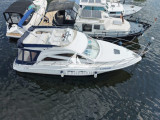 Sealine - Sealine F 34