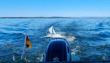 Jeanneau - Jeanneau Merry Fisher 795
