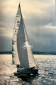 Lillebælt-Værft - Lillebælt-Værft Concorde 38