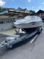 Viper Boats - Viper 243