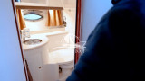 Cobalt Boats - Cobalt 360 Performance Cruiser