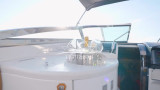 Cobalt Boats - Cobalt 360 Performance Cruiser