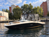 Sea Ray - Sea Ray 190 SPX 