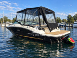 Sea Ray - Sea Ray 190 SPX 