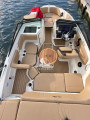Sea Ray - Sea Ray 190 SPX 