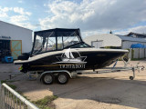 Sea Ray - Sea Ray 190 SPX 