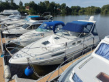 Sealine - Sealine S28