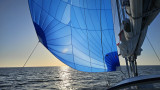 Hallberg Rassy - HALLBERG RASSY 310