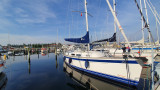 Hallberg Rassy - HALLBERG RASSY 310