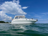 Thumbnail - Sea Ray 260 Sundancer