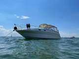 Sea Ray - Sea Ray 260 Sundancer