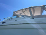 Sea Ray - Sea Ray 260 Sundancer