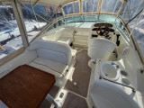 Sea Ray - Sea Ray 260 Sundancer