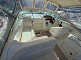 Sea Ray - Sea Ray 260 Sundancer