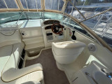 Sea Ray - Sea Ray 260 Sundancer