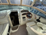 Sea Ray - Sea Ray 260 Sundancer