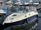 Sea Ray - Sea Ray 255 DA Sundancer - Inzahlungnahme möglich!