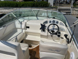 Sea Ray - Sea Ray 255 DA Sundancer - Inzahlungnahme möglich!
