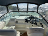 Sea Ray - Sea Ray 255 DA Sundancer - Inzahlungnahme möglich!