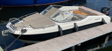 Quicksilver - Quicksilver Active 595 Cruiser