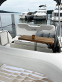 Sea Ray - Sea Ray DA 255 Sundancer